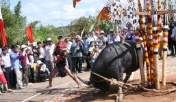 Những lễ hội hiến sinh ám ảnh nhất tại Việt Nam